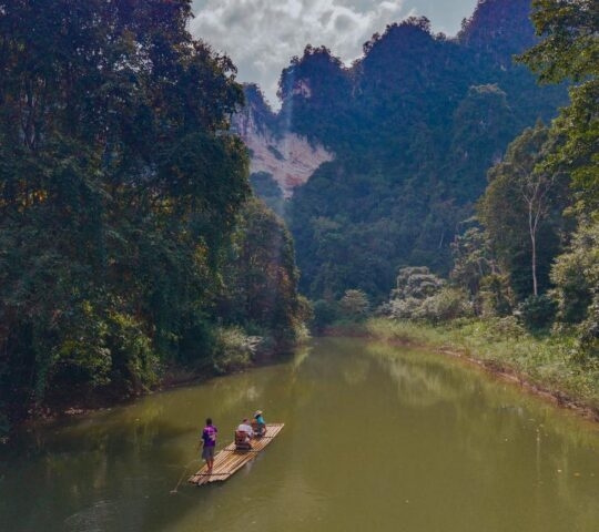 Aerial view of people on a bamboo raft sailing along the Sok river in Khao Sok, Thailand