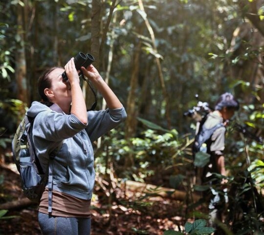 A female tourist watching for wildlife through a pair of binoculars in Khao Yai national park