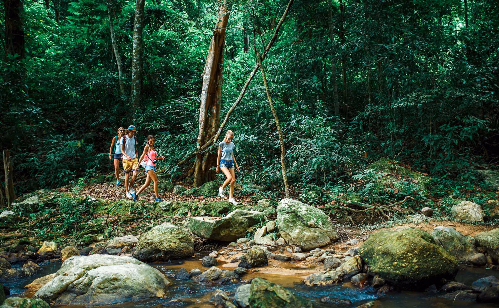 A group of tourists hiking through a jungle alongside a rocky riverbank in Thailand