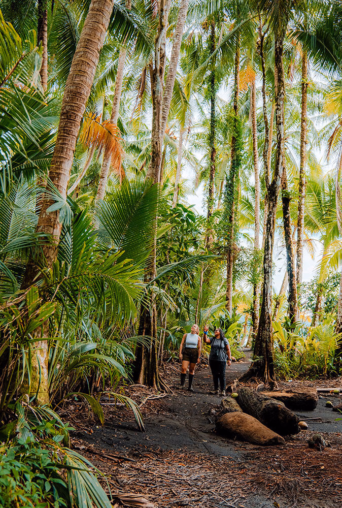 A women with a guide walking through a jungle pathway with tall trees looking up.