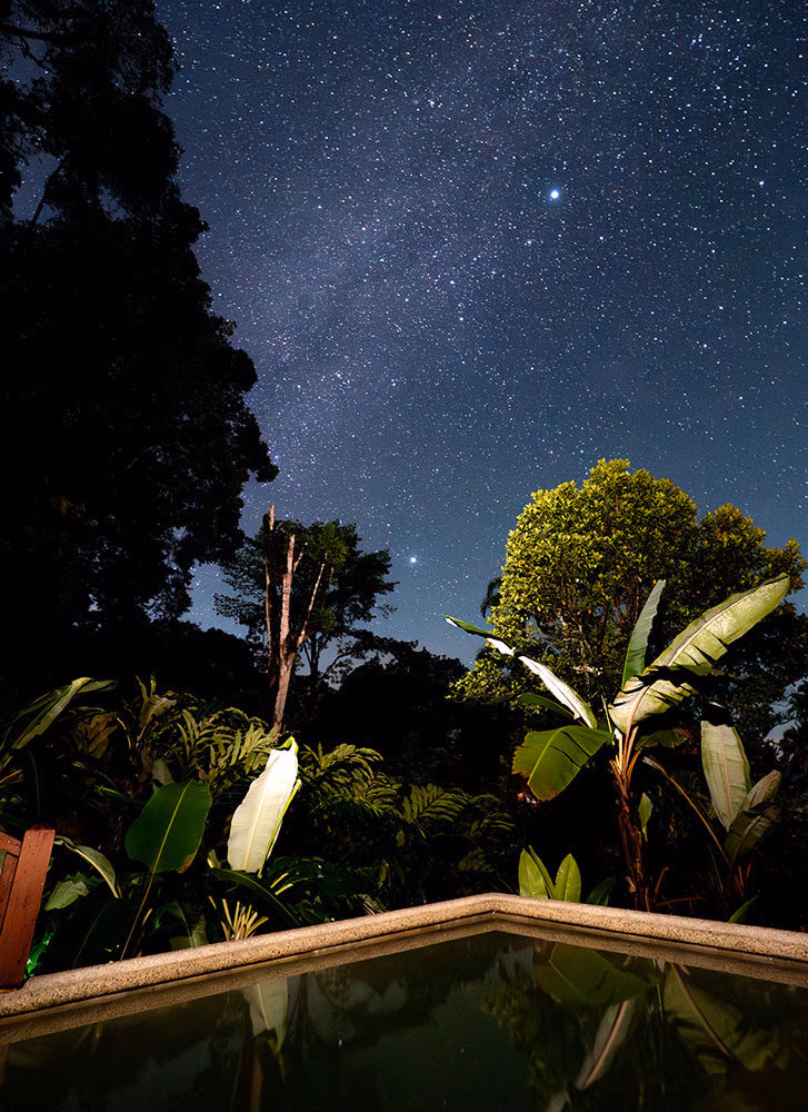 a starry night sky over some tropical trees and a swimming pool.