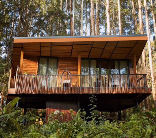 Elevated timber villa with a private balcony tucked into a dense forest at One&Only Gorilla's Nest Rwanda.