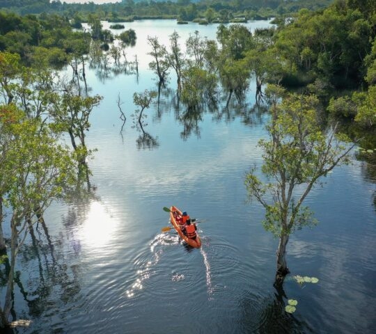 Aerial view of two people in a kayak paddling through mangrove forests in Thailand