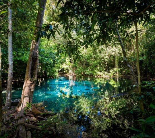 A bright blue coloured pool surrounded by dense trees at Thung Teao Forest National Park
