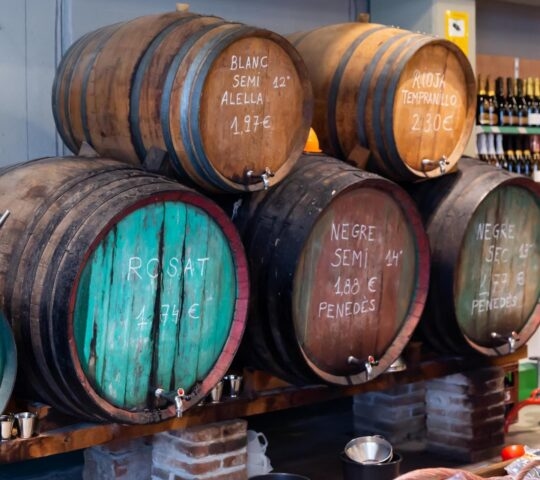 Barrels of wine in a wine shop in Catalonia, Spain
