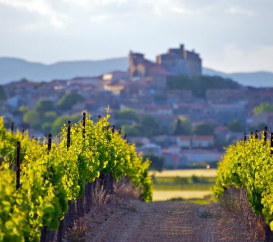 Vineyards in Languedoc, France, with a castle and hill town in the background
