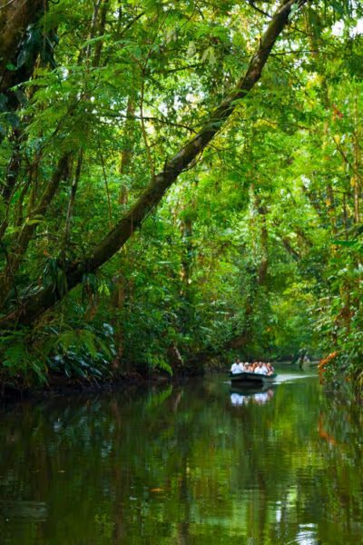 A Caribbean Wildlife Adventure in Costa Rica