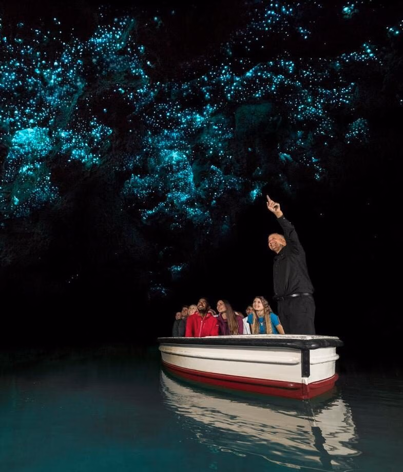 People in a boat underground to study bioluminescent glowworms in the Waitomo Caves.