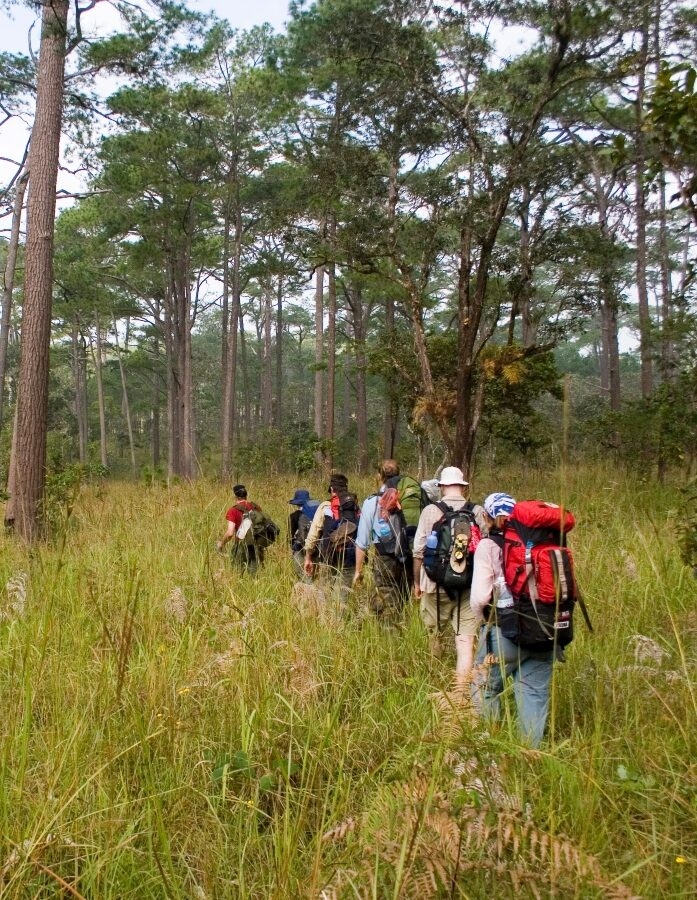 A guided trek through the Cardamom Mountains