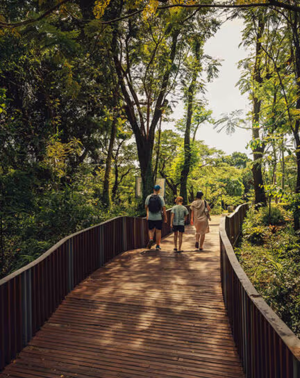 Where to take your family in Southeast Asia