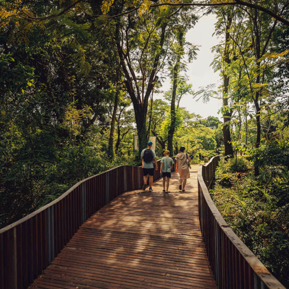 Where to take your family in Southeast Asia thumbnail