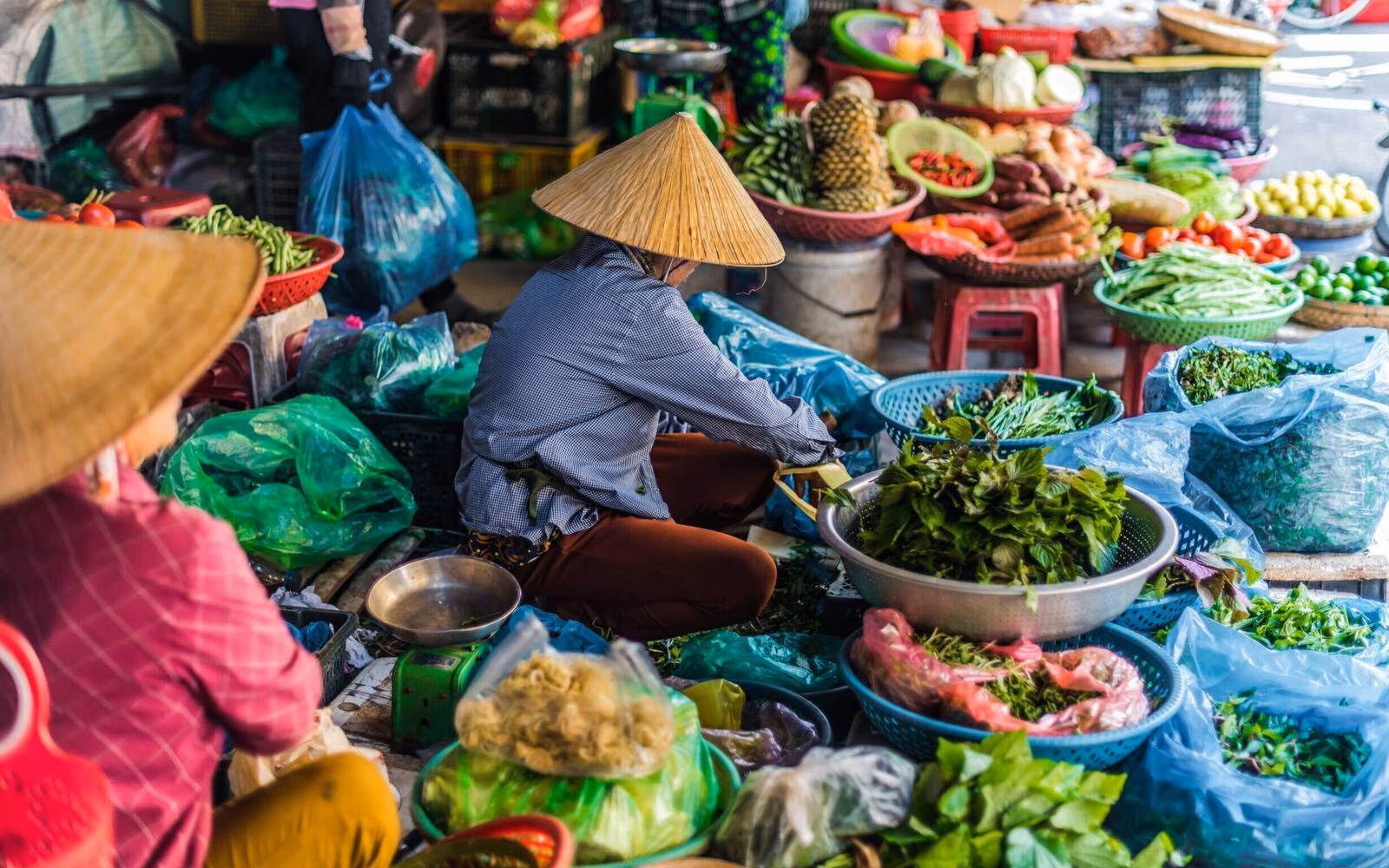Wander through a traditional food market in Hoi An, Vietnam.