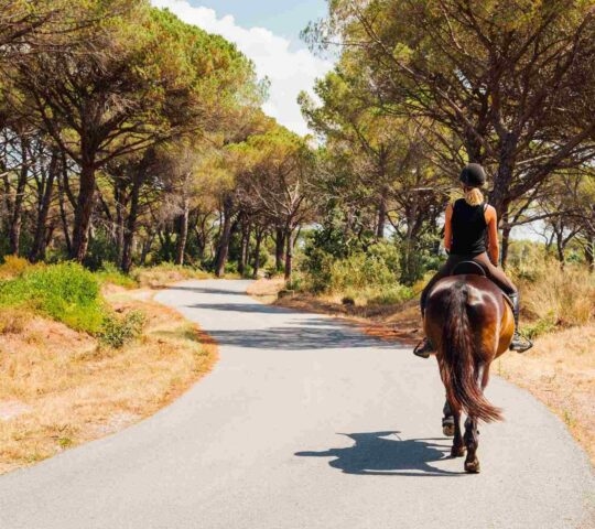 A woman riding a horse along a tree-lined road in the French Riviera