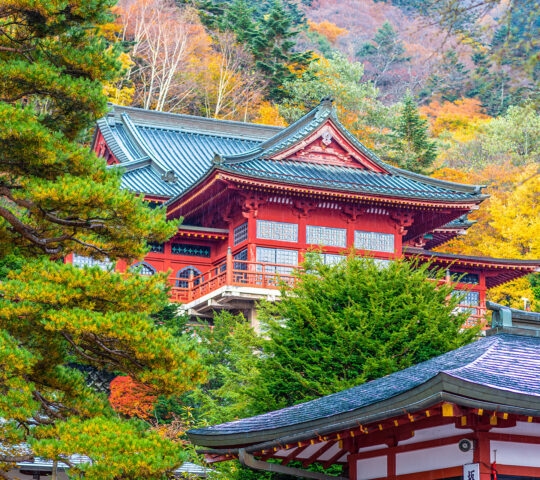 Traditional Japanese temple buildings surrounded by green trees on the peaceful shore of a large mountain lake.