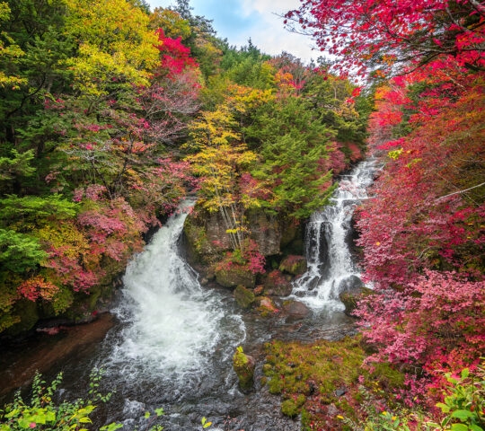 Split mountain waterfall flowing over rocks and surrounded by green trees and bright red autumn foliage.