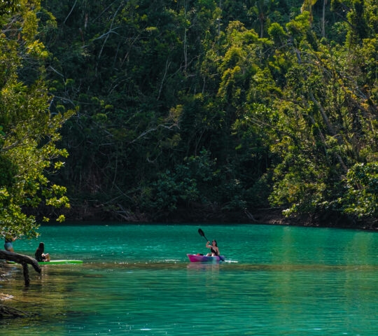 A high-angle aerial view showcases a peaceful water channel winding through the lush, dense green canopy of the Del Carmen mangrove forest in Siargao.