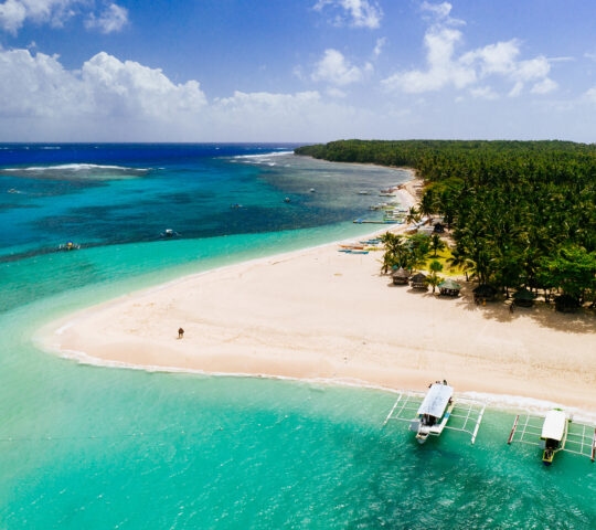 A vibrant tropical beach scene on Daku Island features rows of leaning coconut palm trees overlooking turquoise ocean waters and a white sand coastline.