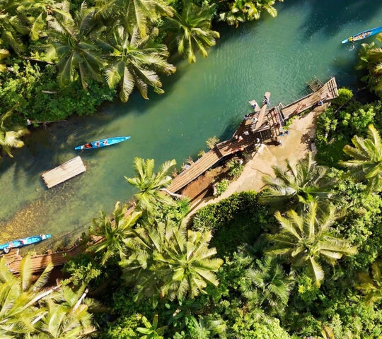 High-angle aerial view of waterway winding through a lush green mangrove forest.