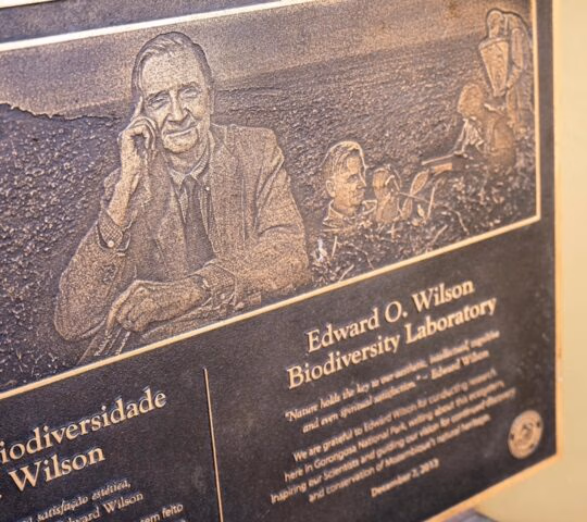 A bronze commemorative plaque for the Edward O. Wilson Biodiversity Laboratory featuring an engraved portrait.