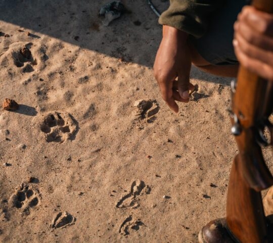 Downward view of a person holding a rifle while inspecting animal tracks in the sand.