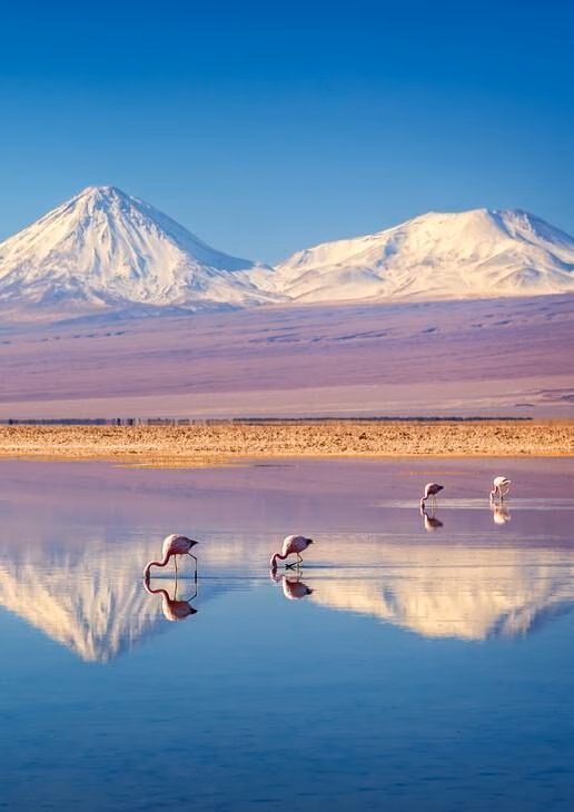 There are multitudes of family-friendly outdoor adventures to enjoy in the Atacama Desert, Lake District or Patagonia