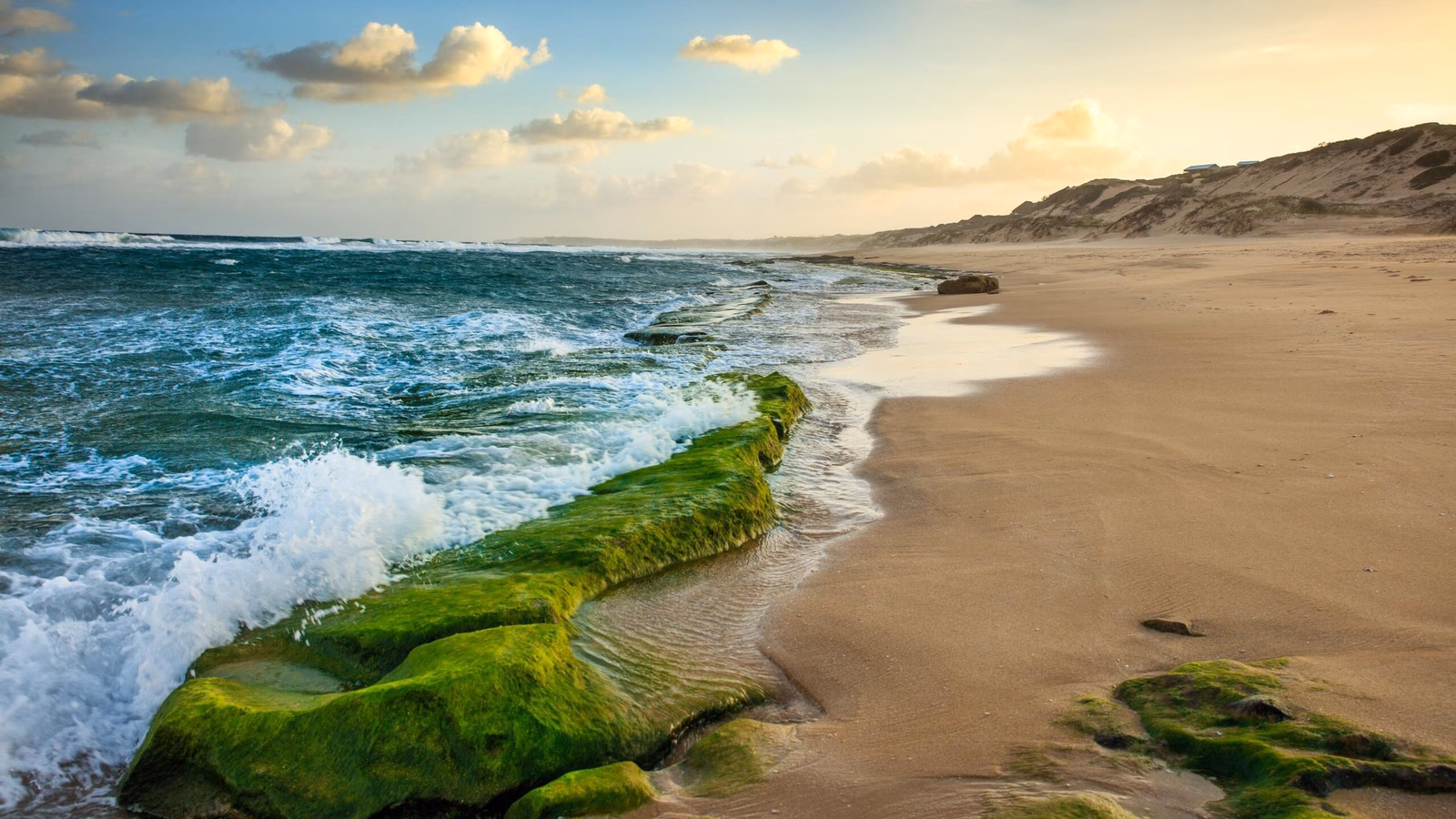 Crashing ocean waves meeting a sandy beach with bright green mossy rock formations under a cloudy sky.