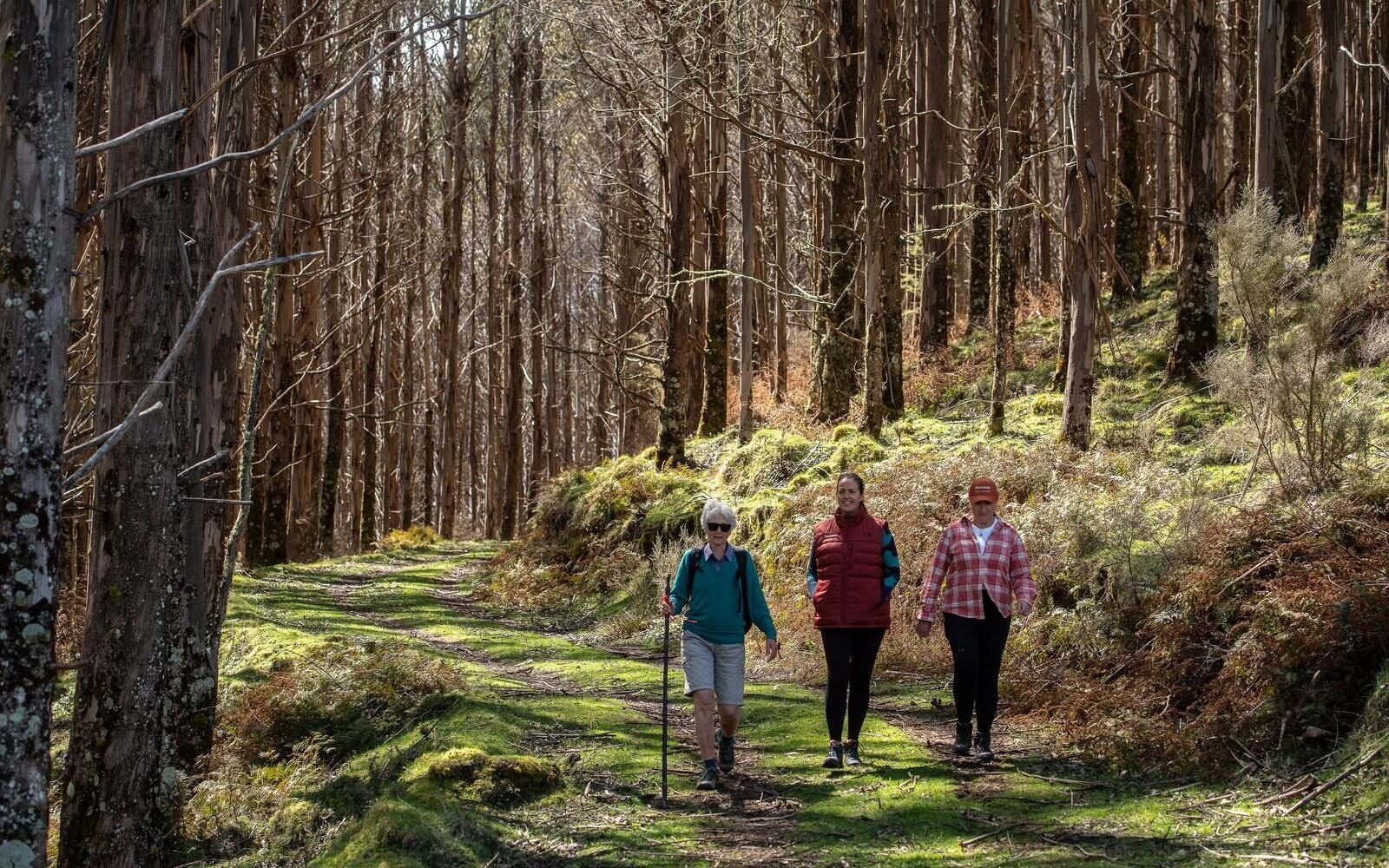 Enjoy a guided hike through the forest trails during your stay at Poronui Lodge, near Taupō on New Zealand’s North Island.