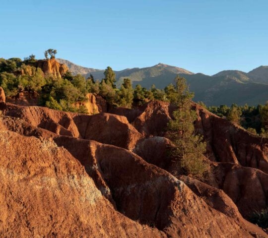 Red rock outcrops with sparse trees near Ouirgane in Morocco's High Atlas Mountains