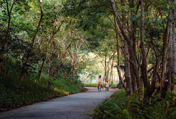 A woman and child on a bike under a canopy of trees.