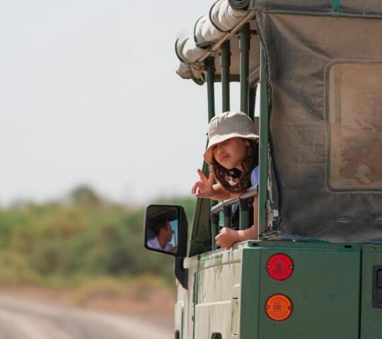 A girl leaning out the window of a safari vehicle on a game drive