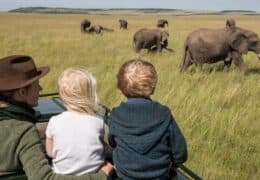 A Luxury Zimbabwe Family Safari