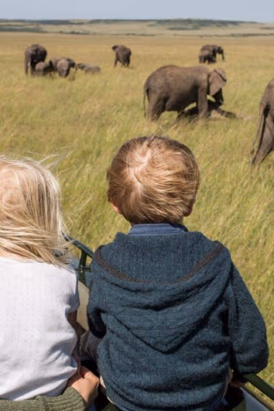 A Luxury Zimbabwe Family Safari