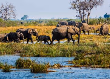 Zambezi Region thumbnail