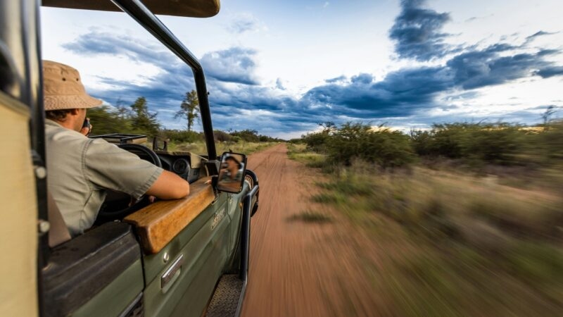 View from inside a moving open-top safari vehicle driving on a red dirt road through brushland.