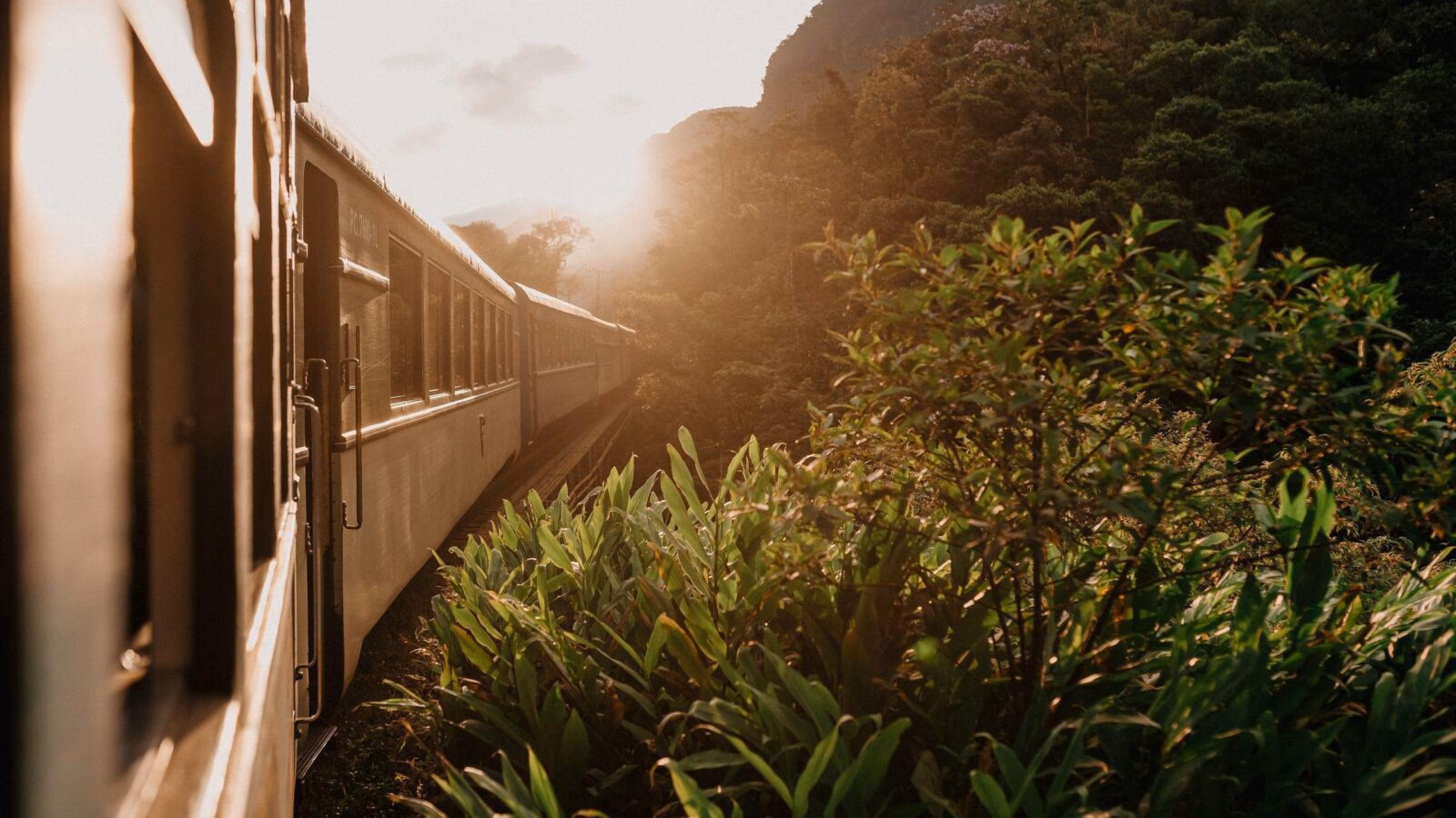 The exterior of the Eastern & Oriental Express curving through the jungle at sunset