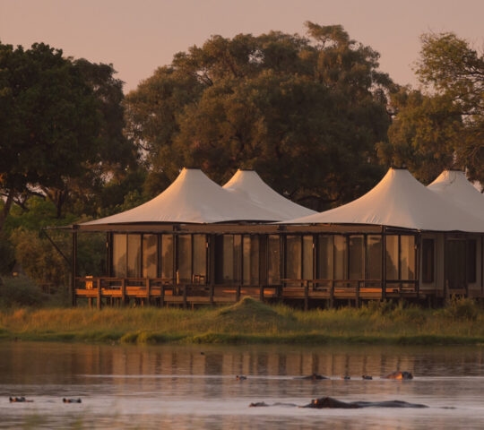 Exterior far-away shot of a tented camp alongside a lake wwith a stand of trees behind it.