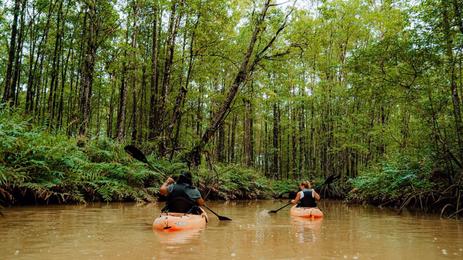 Two people paddling orange kayaks on a river surrounded by dense mangroves for an active costa rica trip.