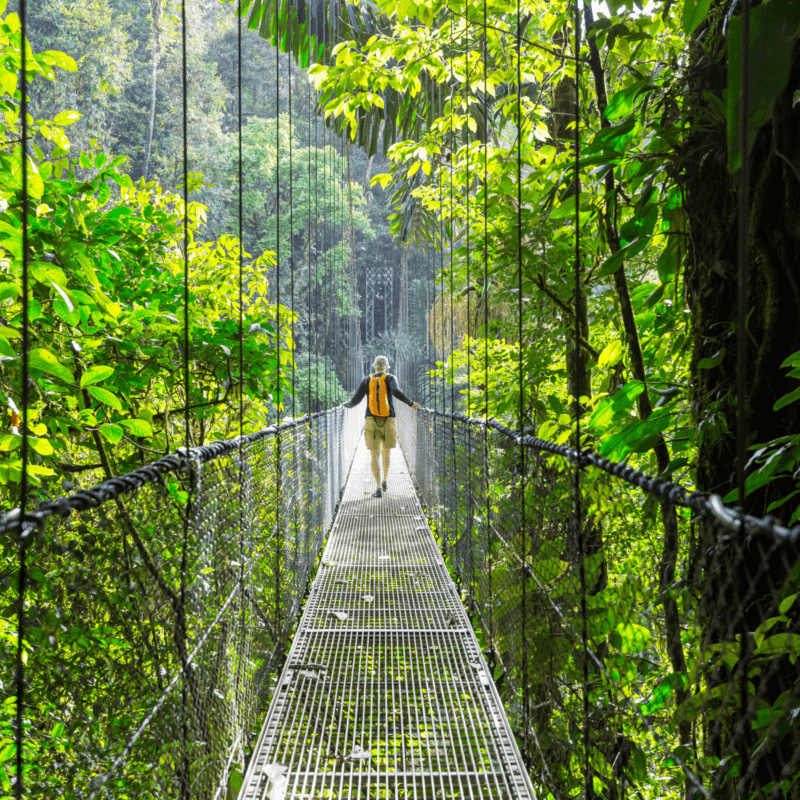 Hiker walking across a metal suspension bridge in a lush rainforest on Costa Rica adventure tours.