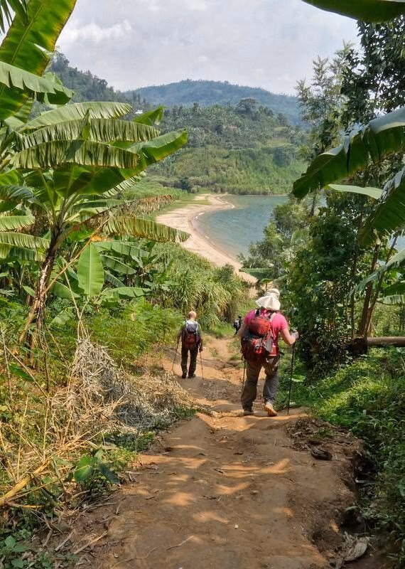 Three people hike down a dirt path surrounded by lush green plants and banana trees towards a calm lake.
