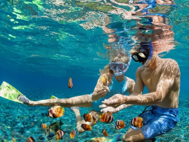 A man and a woman snorkel underwater in clear blue water, looking at coral and surrounded by colorful tropical fish.