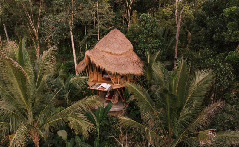 Aerial view of a couple resting on a hammock net attached to a thatched-roof bamboo treehouse in a dense tropical forest.