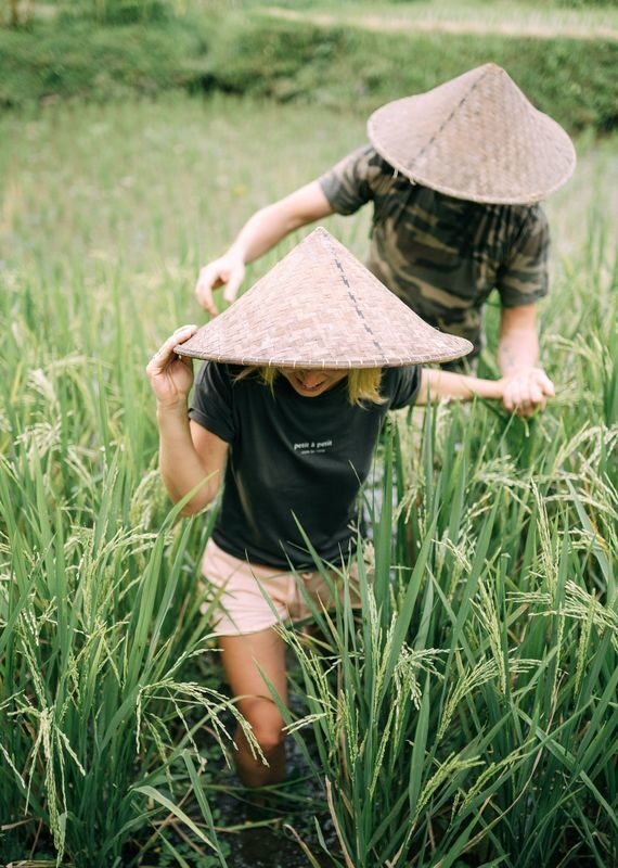 A couple in conical hats walks through tall green rice plants. The woman's shirt features the text petit à petit.
