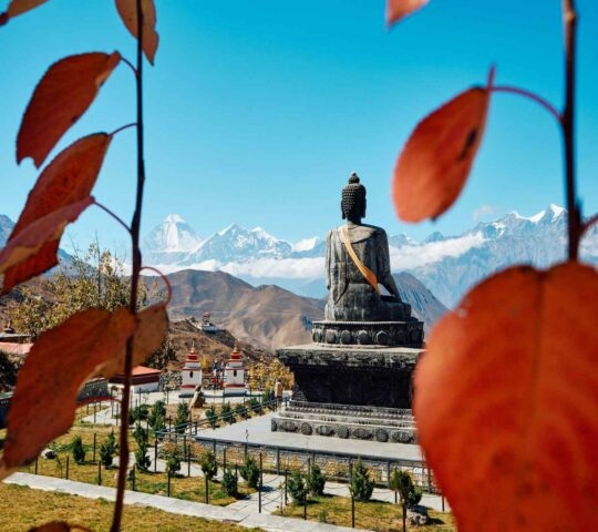 An image of a stone Buddha statue, seen from behind between red leaves, looking out over snow-capped mountains.