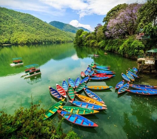 Colourful boats on Lake Phewa in Pokhara, Nepal.