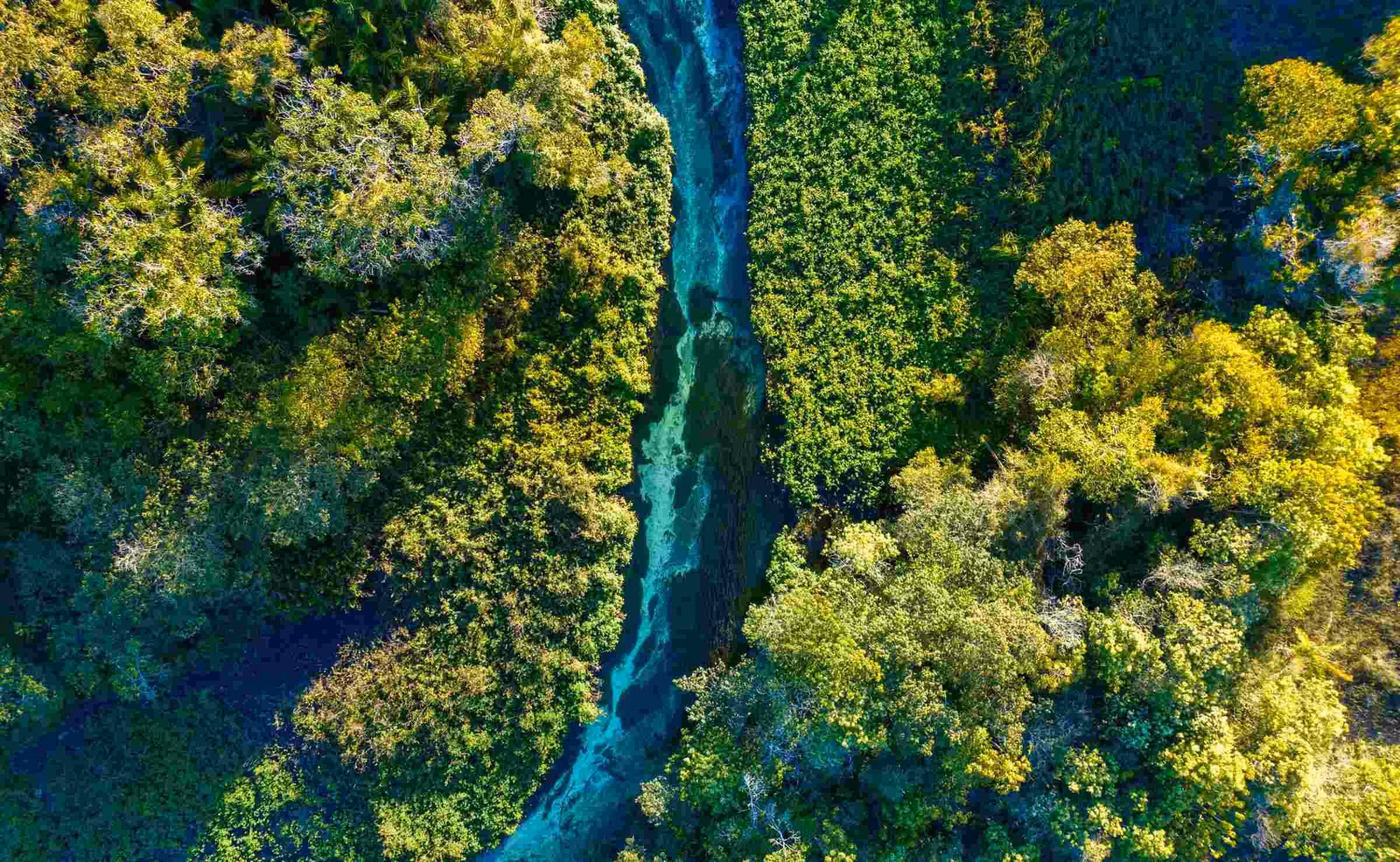 Aerial view of a river running through forest in Bonito, Brazil