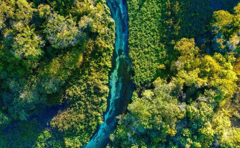 Aerial view of a river running through forest in Bonito, Brazil