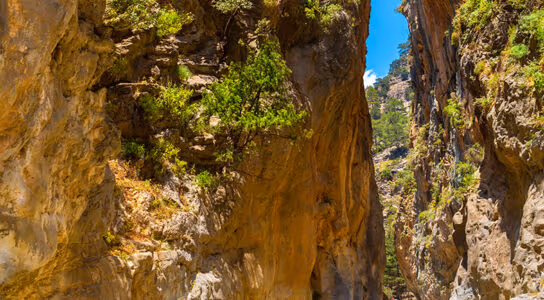 Hike forests and gorges preview image