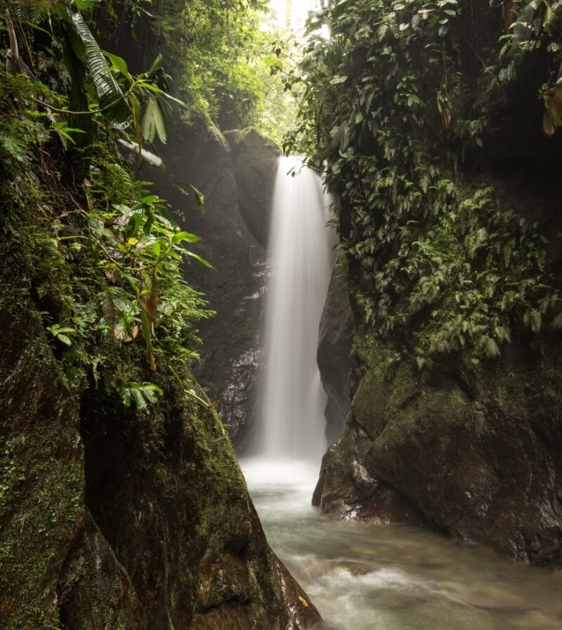 A waterfall in the Mindo Cloud Forest of Ecuador