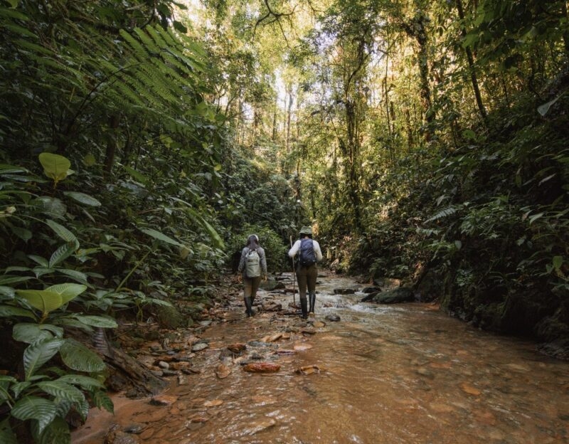 walking through waterfall pools in Ecuador's cloud forests