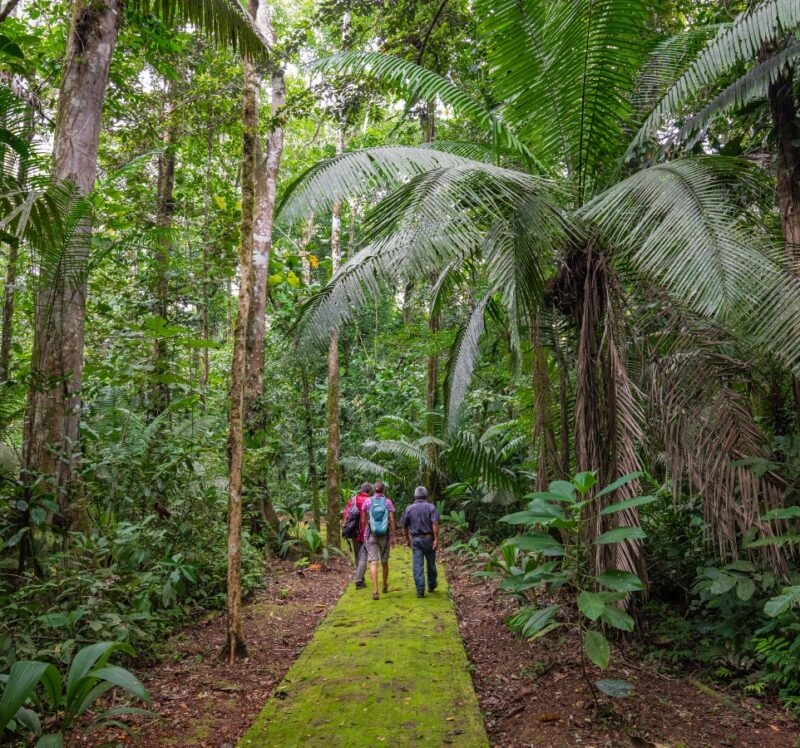 People walking through Yasuni National Park in the Ecuadorian Amazon